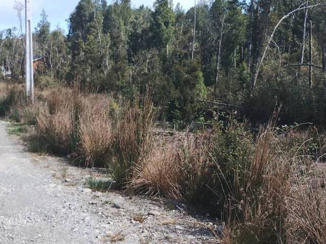 #5 - Área para Venta en Puerto Varas - X