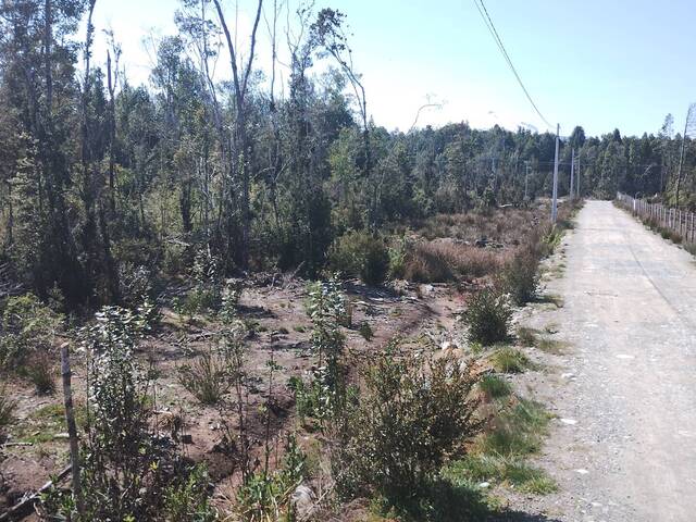Área para Venta en Puerto Varas - 5