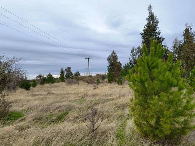 #8 - Terreno para Venta en San Carlos - VIII